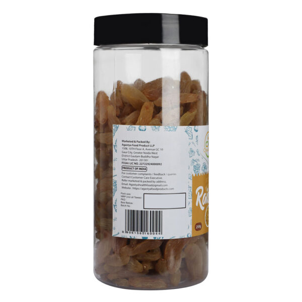 raisins-250gm-02